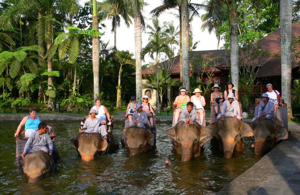 group on a herd