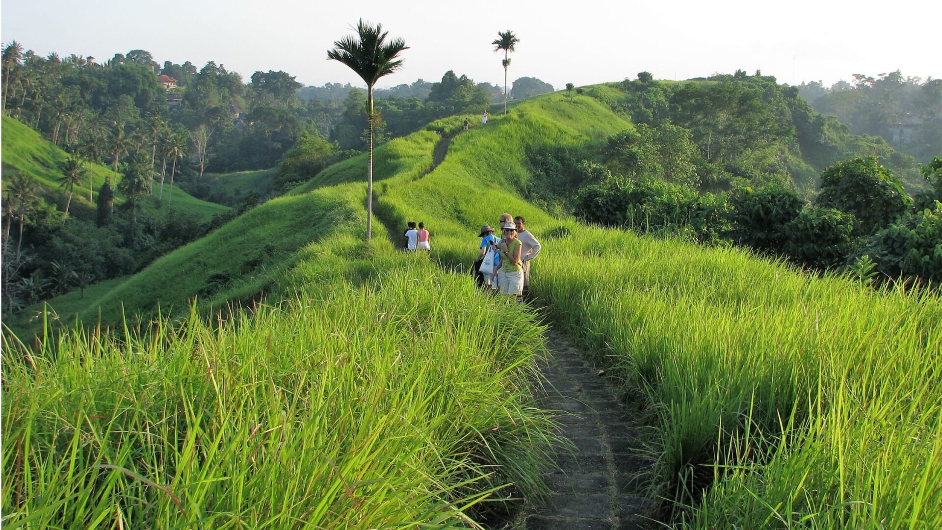 Babes in Bali